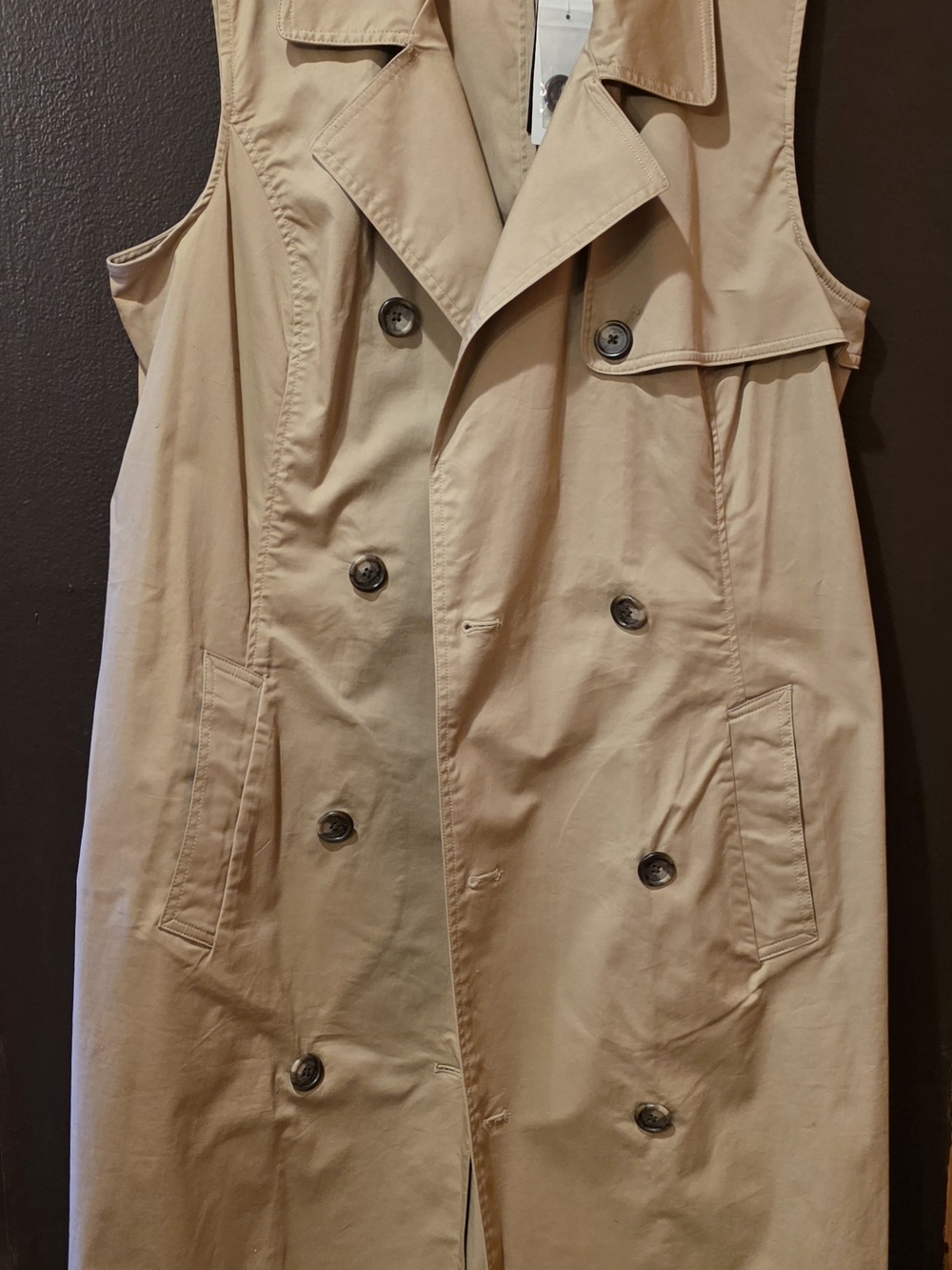 Lauren Ralph Lauren Sleeveless Dress in Khaki